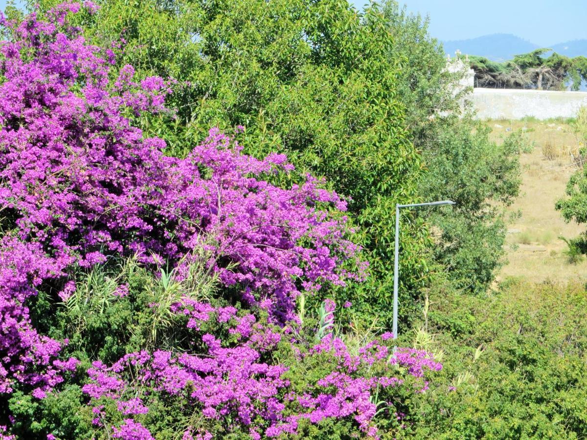 Cais Apartment By Stay In Alentejo Vila Nova de Milfontes Eksteriør billede